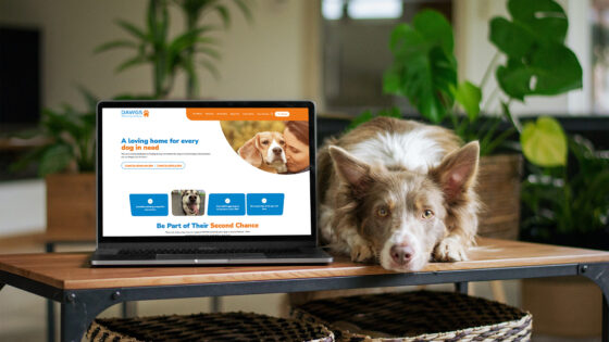 A laptop showcasing the DAWGs website, with a dog crouched beside it
