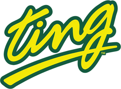 Coloured Ting Logo