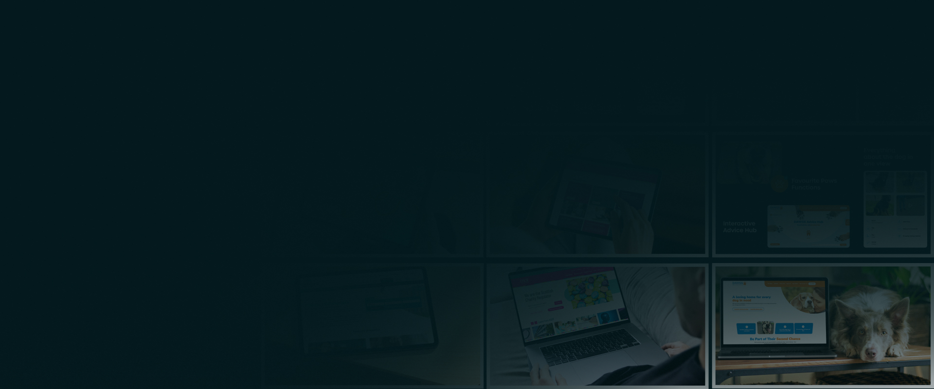 Background image with a navy overlay with a selection of images behind the overlay from case studies