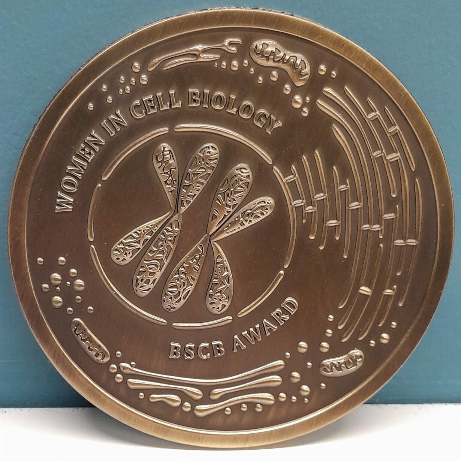 Women in Cell Biology Medal - BSCB
