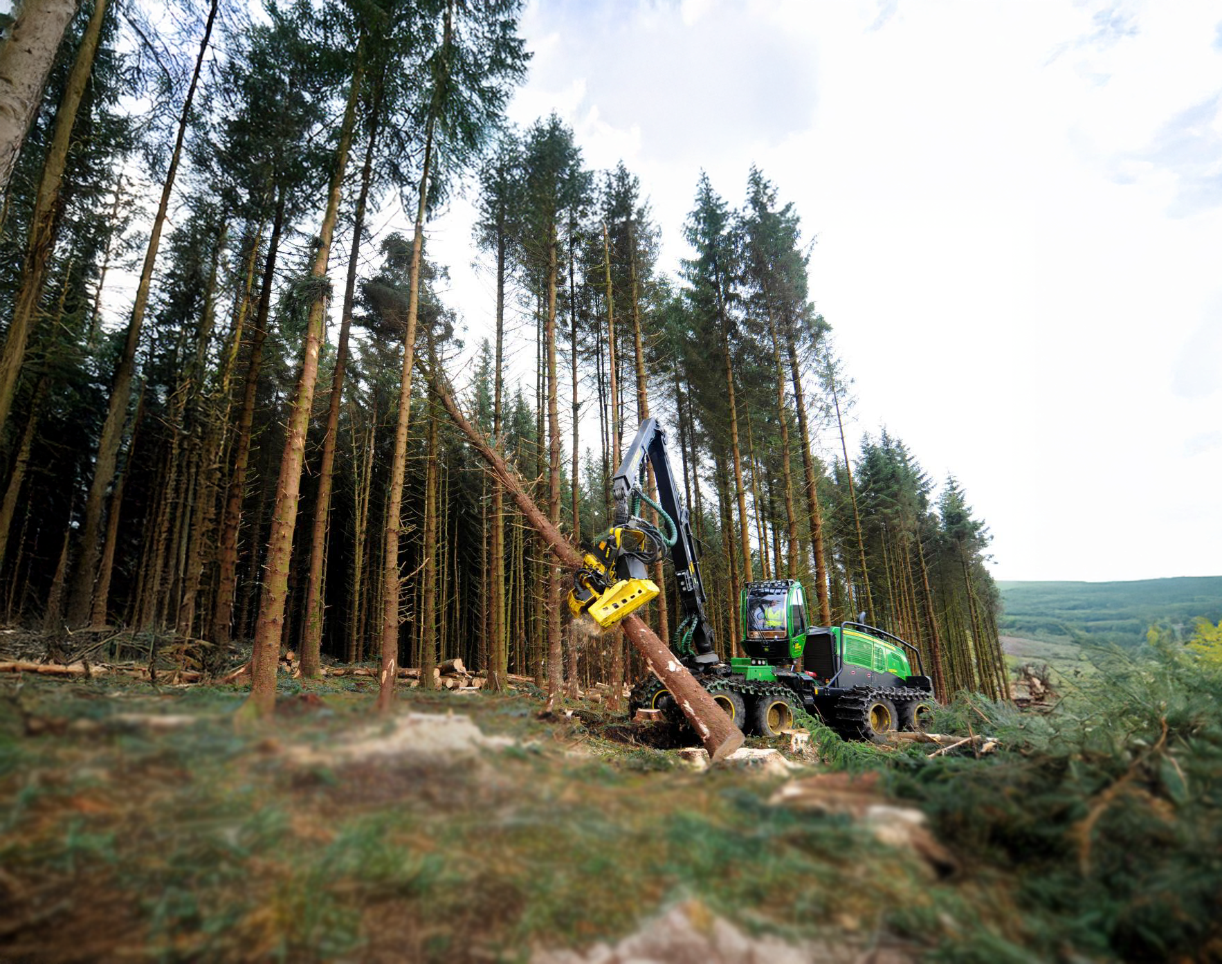 Arboriculture
