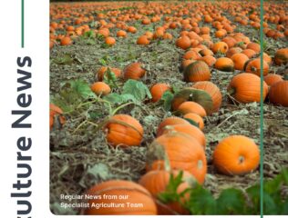 Agriculture and Rural Bulletin – Autumn 2024