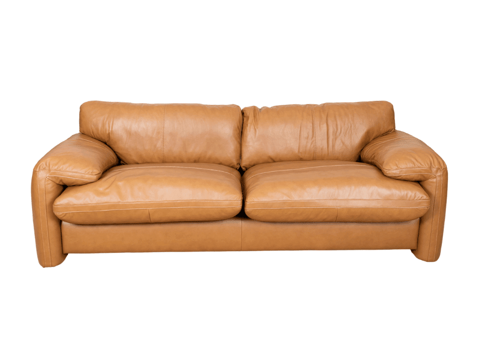 The Catalyna Sofa combines premium tan leather with plush seat and back cushions for outstanding comfort. Its timeless design and warm, inviting finish make it a stylish addition to any living space. Durable, elegant and crafted to last, this piece brings both character and comfort to your home. Tan leather Catalyna sofa with plush seat and back cushions, featuring a modern design and premium leather finish.