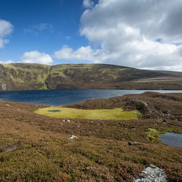 A wide landscape shot of Loch Brandy in Scotland, showing a dark blue lake nestled at the base of steep, brown and green hills under a bright blue sky with fluffy white clouds. In the foreground, the rugged terrain is covered in low-lying heather and grass, with a small patch of bright green marsh and tiny pools of water scattered near the shoreline.