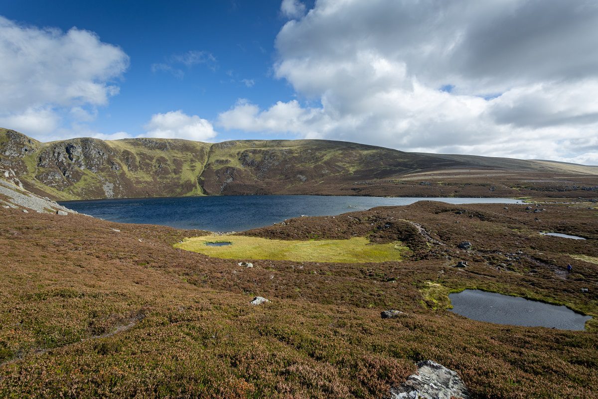 A wide landscape shot of Loch Brandy in Scotland, showing a dark blue lake nestled at the base of steep, brown and green hills under a bright blue sky with fluffy white clouds. In the foreground, the rugged terrain is covered in low-lying heather and grass, with a small patch of bright green marsh and tiny pools of water scattered near the shoreline.