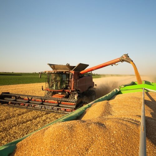 A large red combine harvester in a field of golden crops, using an auger arm to discharge a steady stream of harvested grain into a large green trailer in the foreground.