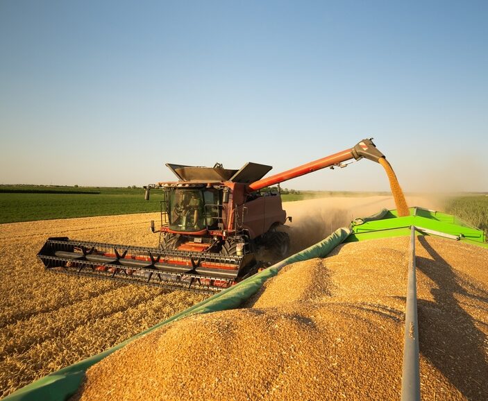 A large red combine harvester in a field of golden crops, using an auger arm to discharge a steady stream of harvested grain into a large green trailer in the foreground.