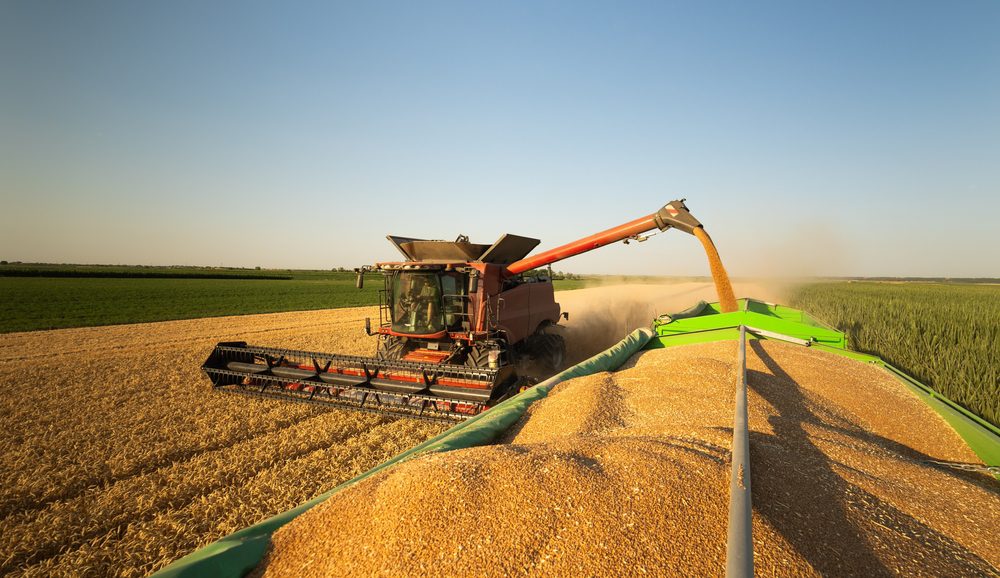A large red combine harvester in a field of golden crops, using an auger arm to discharge a steady stream of harvested grain into a large green trailer in the foreground.