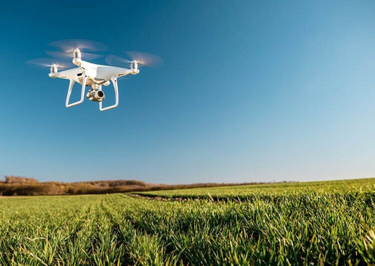 Drone