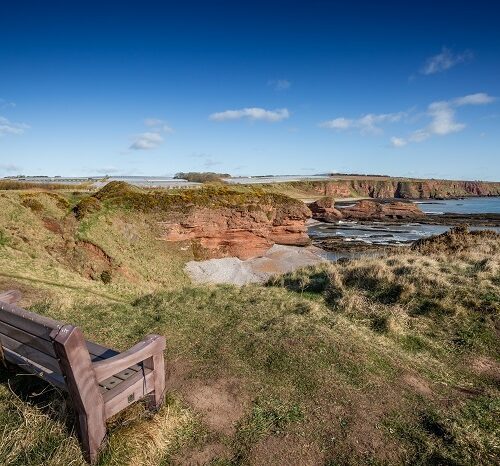 A coastal view of rugged red sandstone cliffs meeting the blue sea. In the foreground, a wooden park bench sits on a grassy hill overlooking the rocky shoreline and distant horizon.