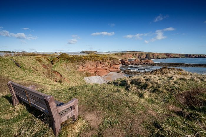 A coastal view of rugged red sandstone cliffs meeting the blue sea. In the foreground, a wooden park bench sits on a grassy hill overlooking the rocky shoreline and distant horizon.