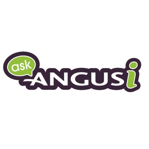 A logo featuring the words "ASK ANGUS" in bold, dark purple letters. The word "ask" is inside a green speech bubble, and the final "i" in Angus is also bright green.