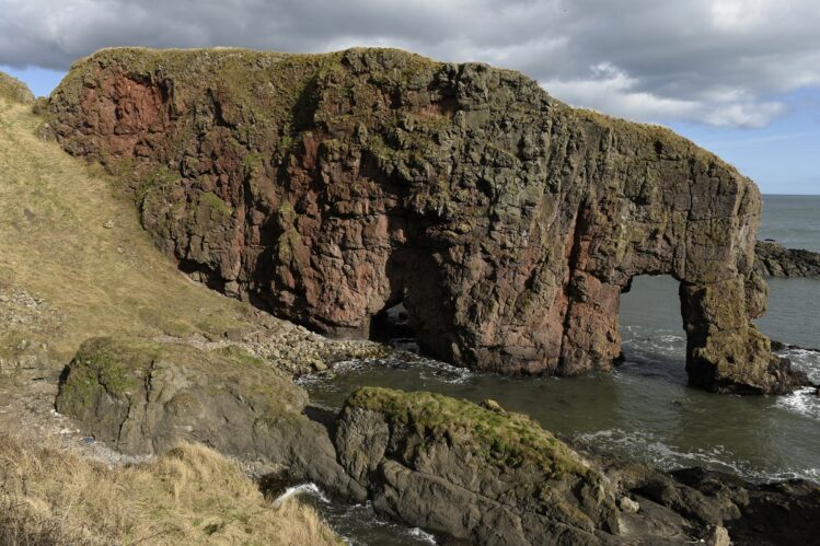 A dramatic coastal shot of Elephant Rock near Boddin, Angus. The large, reddish-brown sedimentary rock formation naturally resembles an elephant wading into the sea, complete with a distinct "trunk" forming a natural arch over the water. Grassy cliffs and a rocky shoreline frame the formation under a moody, clouded sky.