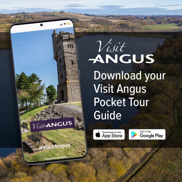 A promotional image for a mobile app set against an aerial view of a wooded landscape and a lake. A smartphone in the foreground displays the Visit Angus app interface, showing a stone tower. Text to the right reads, "Download your Visit Angus Pocket Tour Guide," accompanied by App Store and Google Play download buttons.