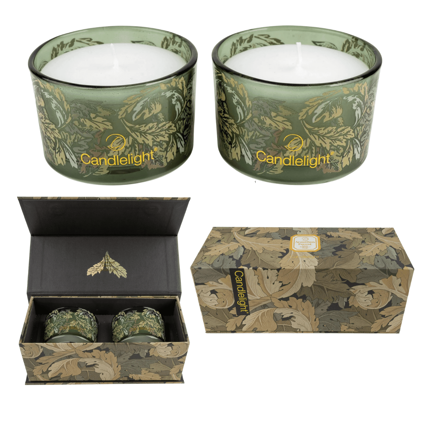 CLT ACANTHUS SET OF 2 WEB Set of 2 Candles – Acanthus Forest