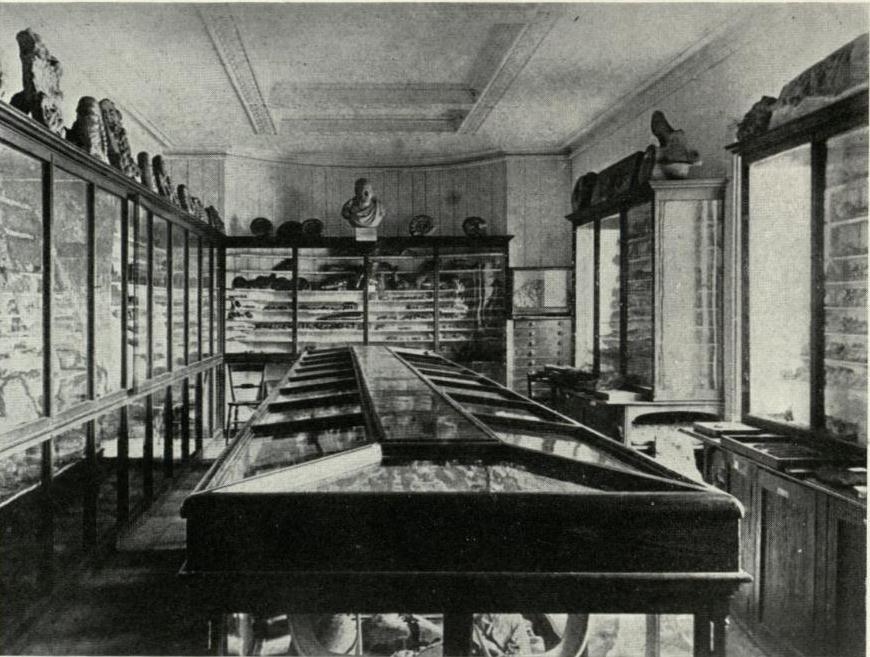 Item-44--Photo-1---Scarb