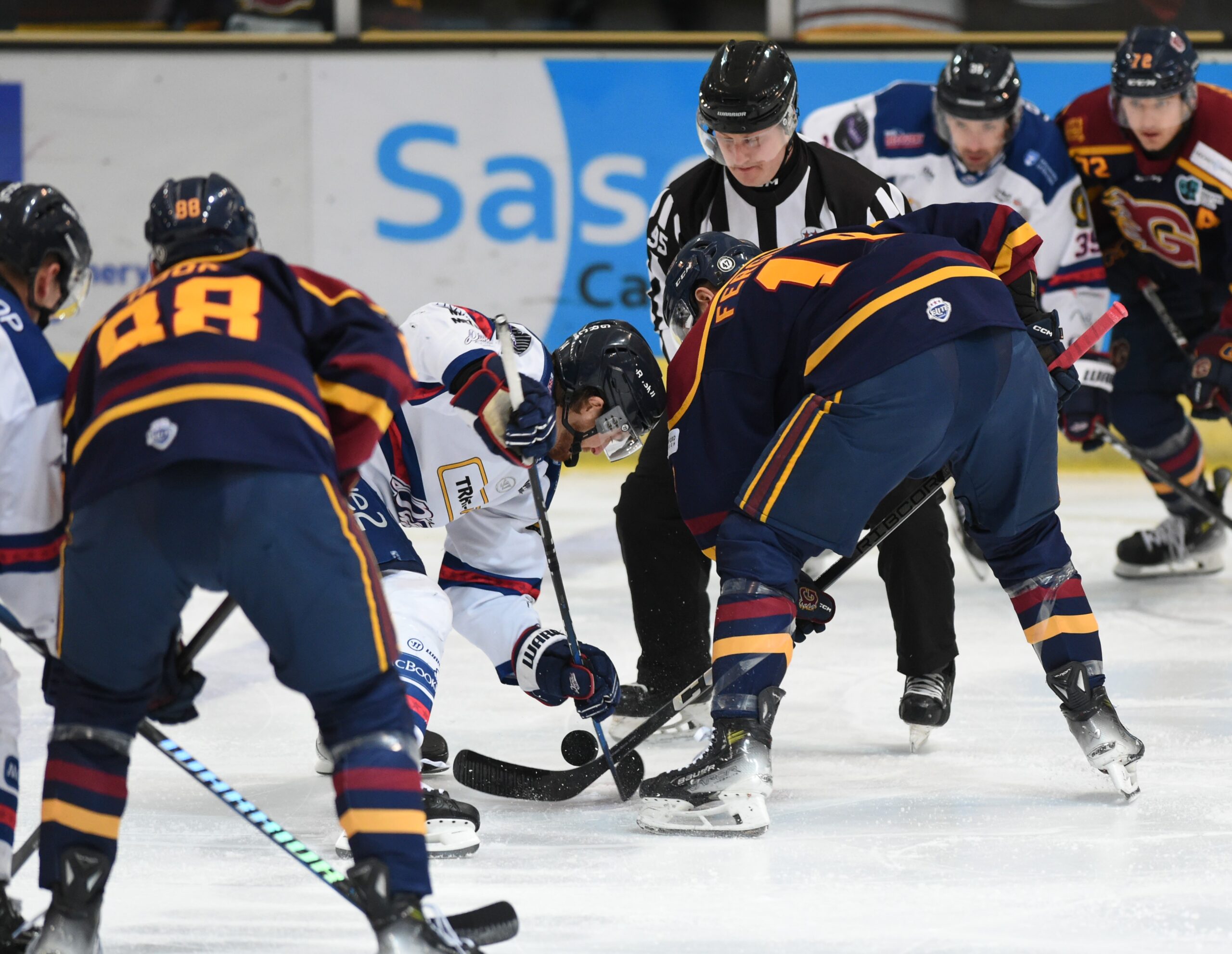 Guildford Flames V Trade-Mart Dundee Stars - Dundee Stars