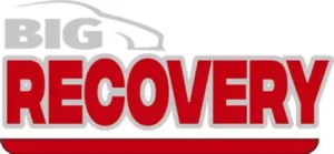 Big Recovery Logo