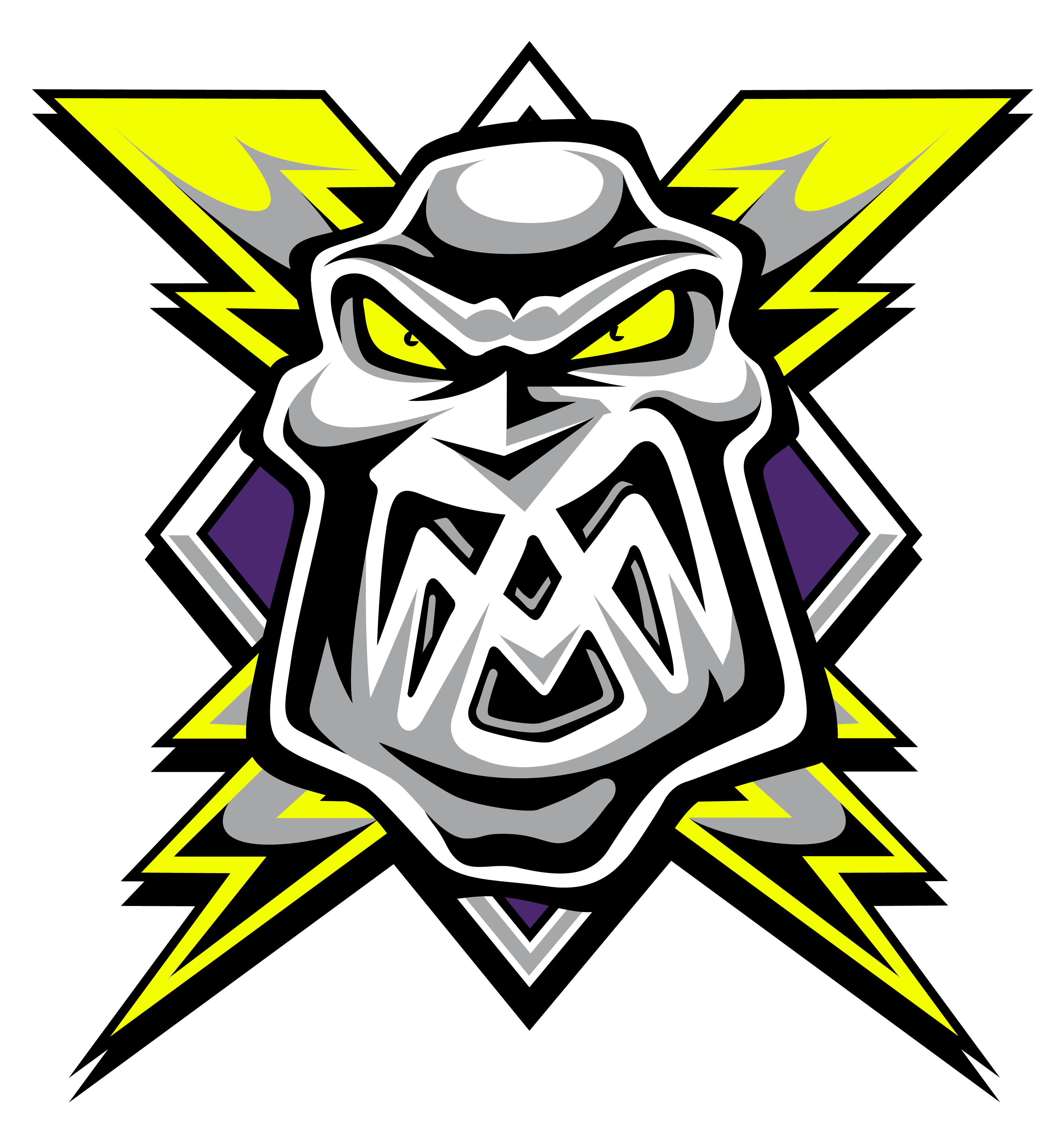 Manchester Storm