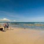 family walking dog Kingsbarns