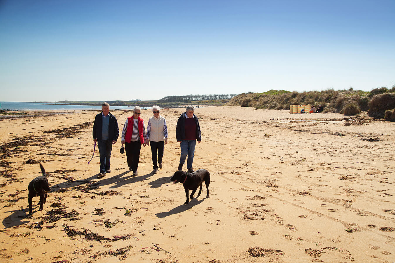 Kingsbarns Beach or Cambo Sands Fife Coast & Countryside Trust