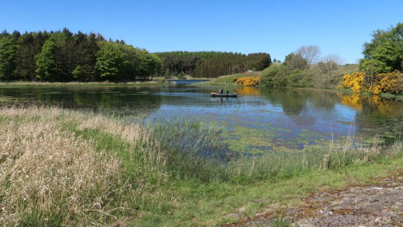 Clatto Reservoir 2