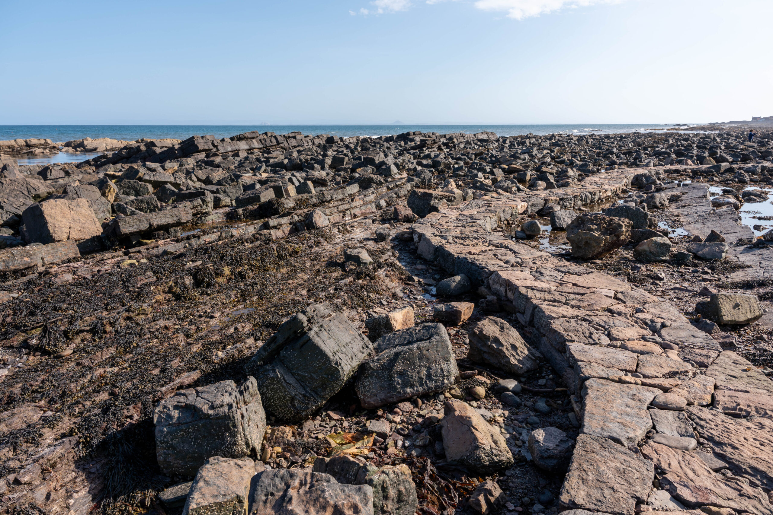 Tide Line leads to new site for sculptural artist