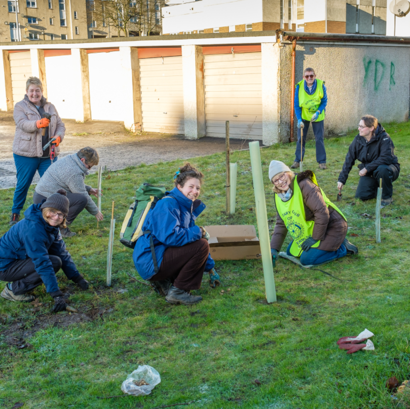 One Thousand Bluebells and Snowdrops Planted in Touch.