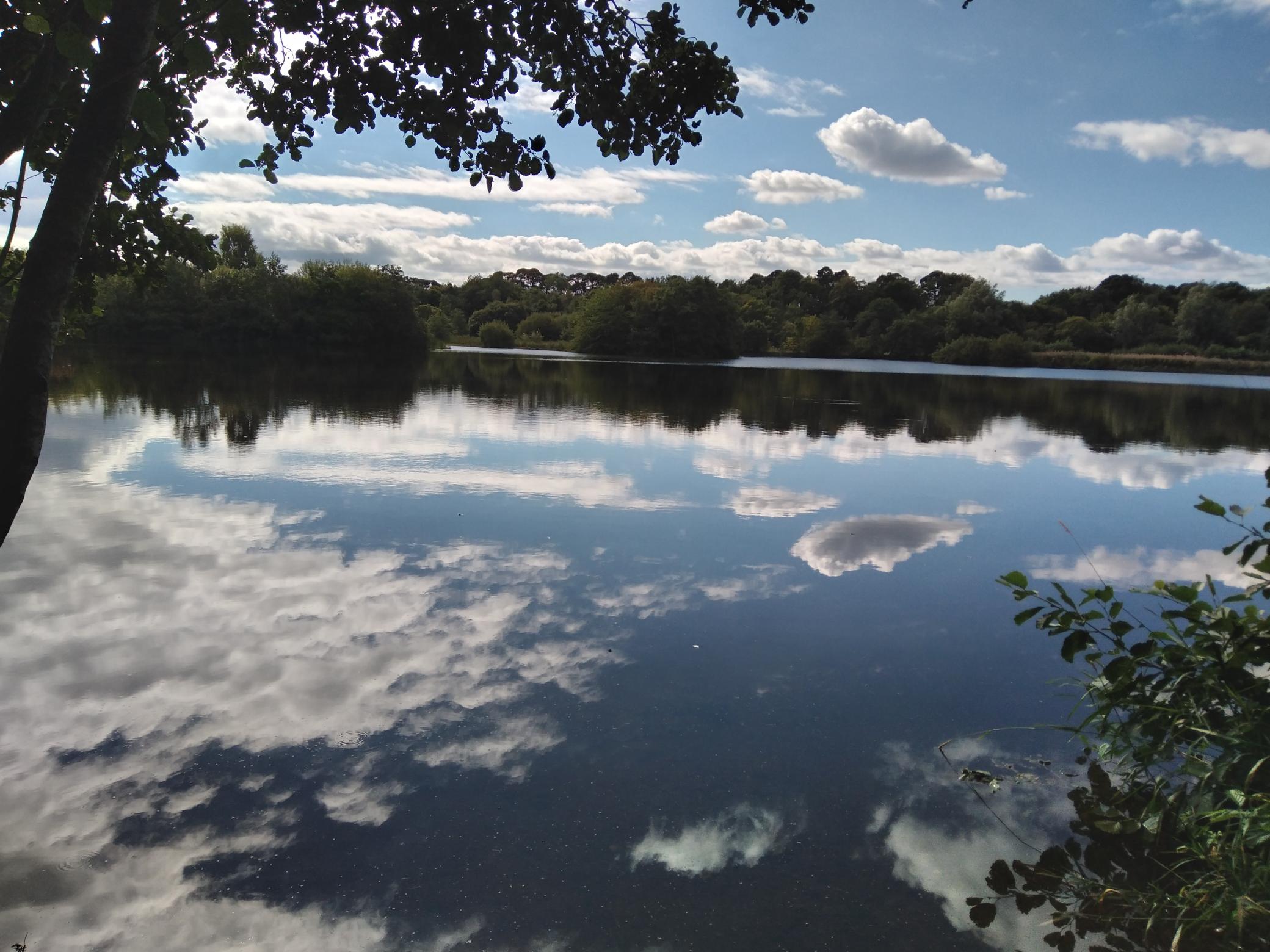 Summer Saunter at Birnie and Gaddon Lochs