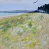 Tentsmuir Eagle