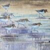 Sanderling Race