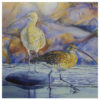 curlew (1) curlew (1)