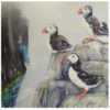 puffins puffins