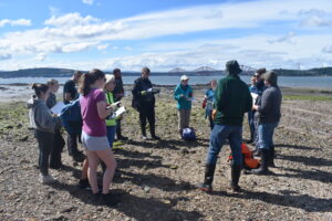 forth-restoration-oysters