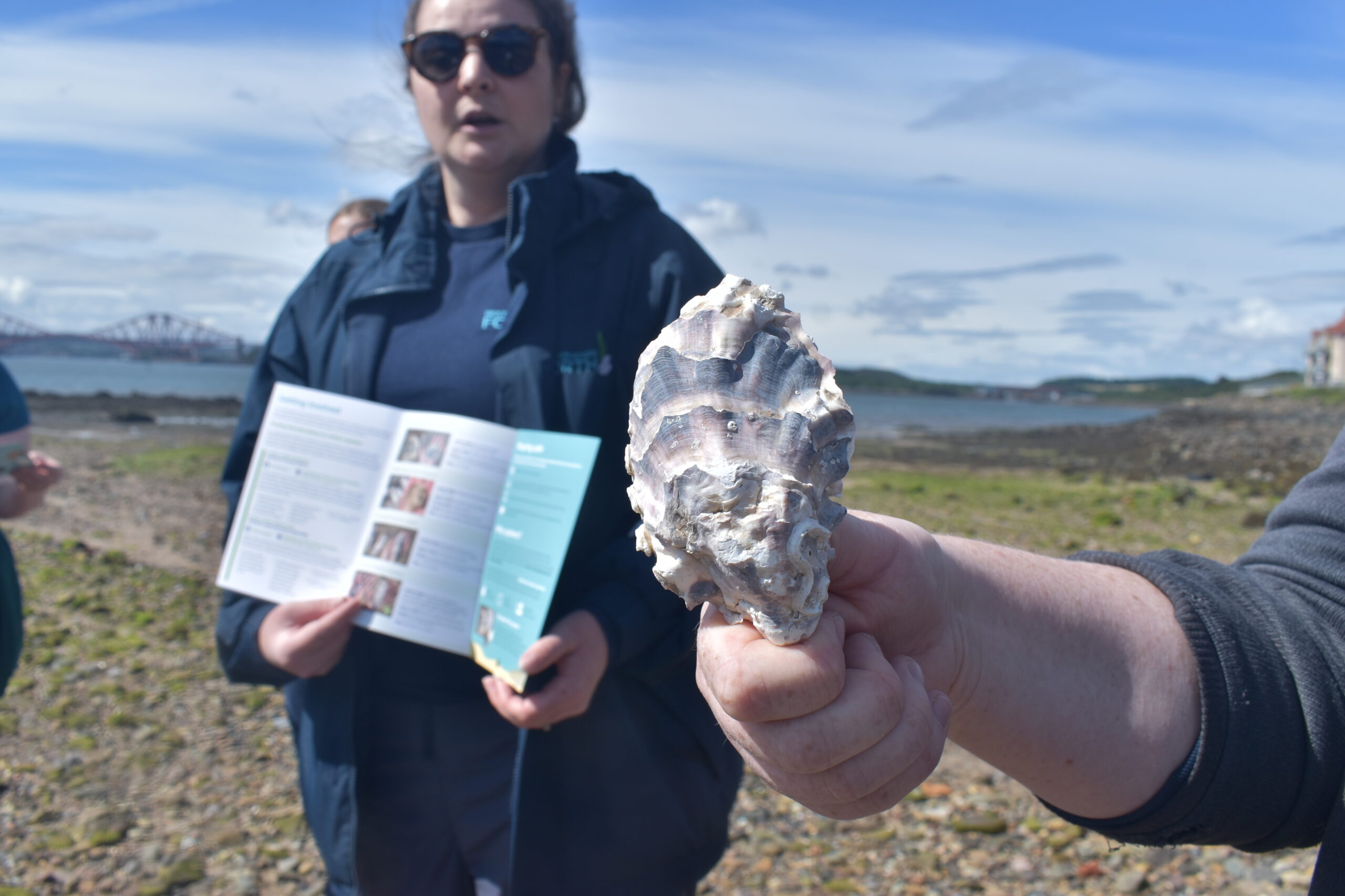 oyster-restoration-forth