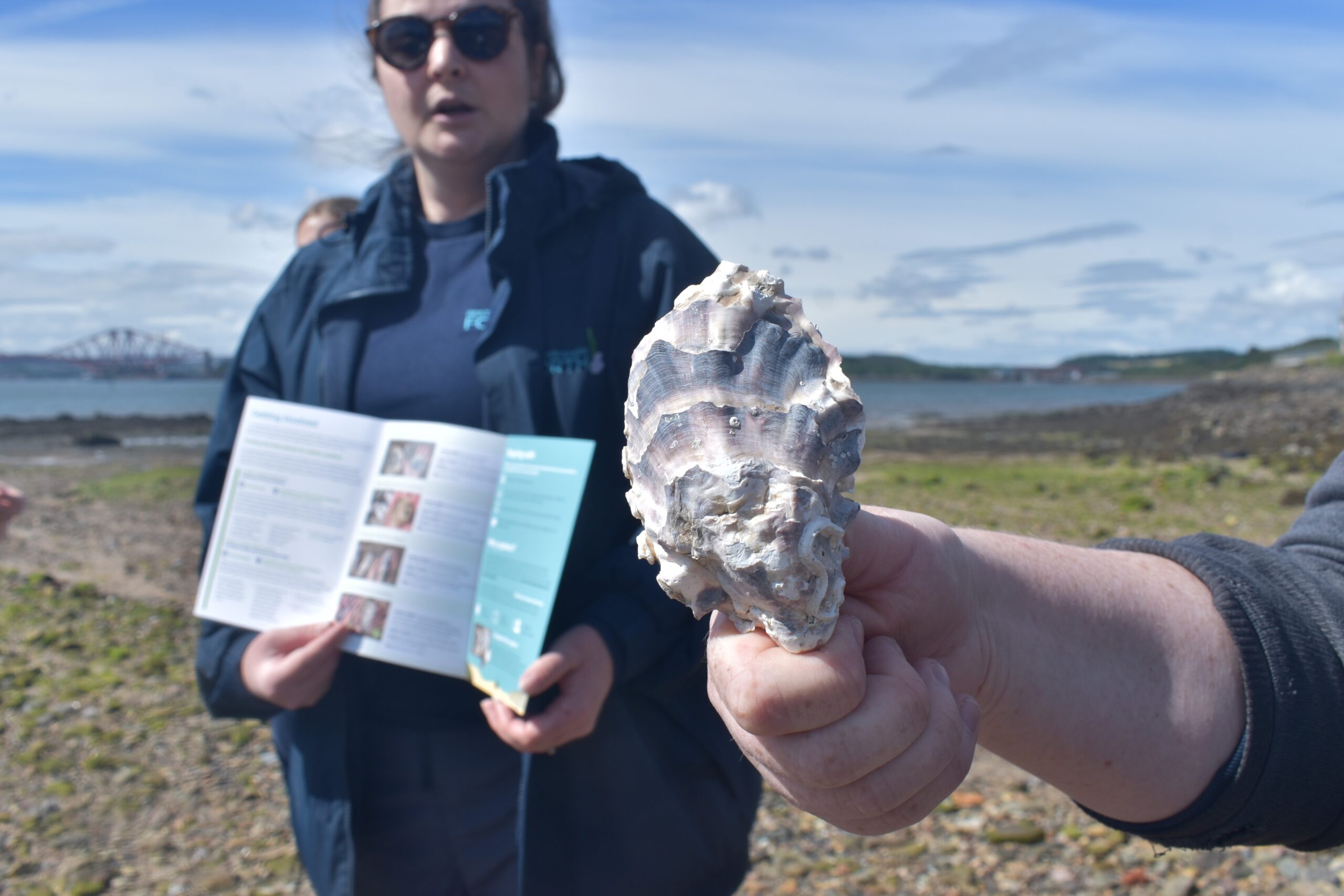 Oysters are our world in Firth of Forth marine restoration project