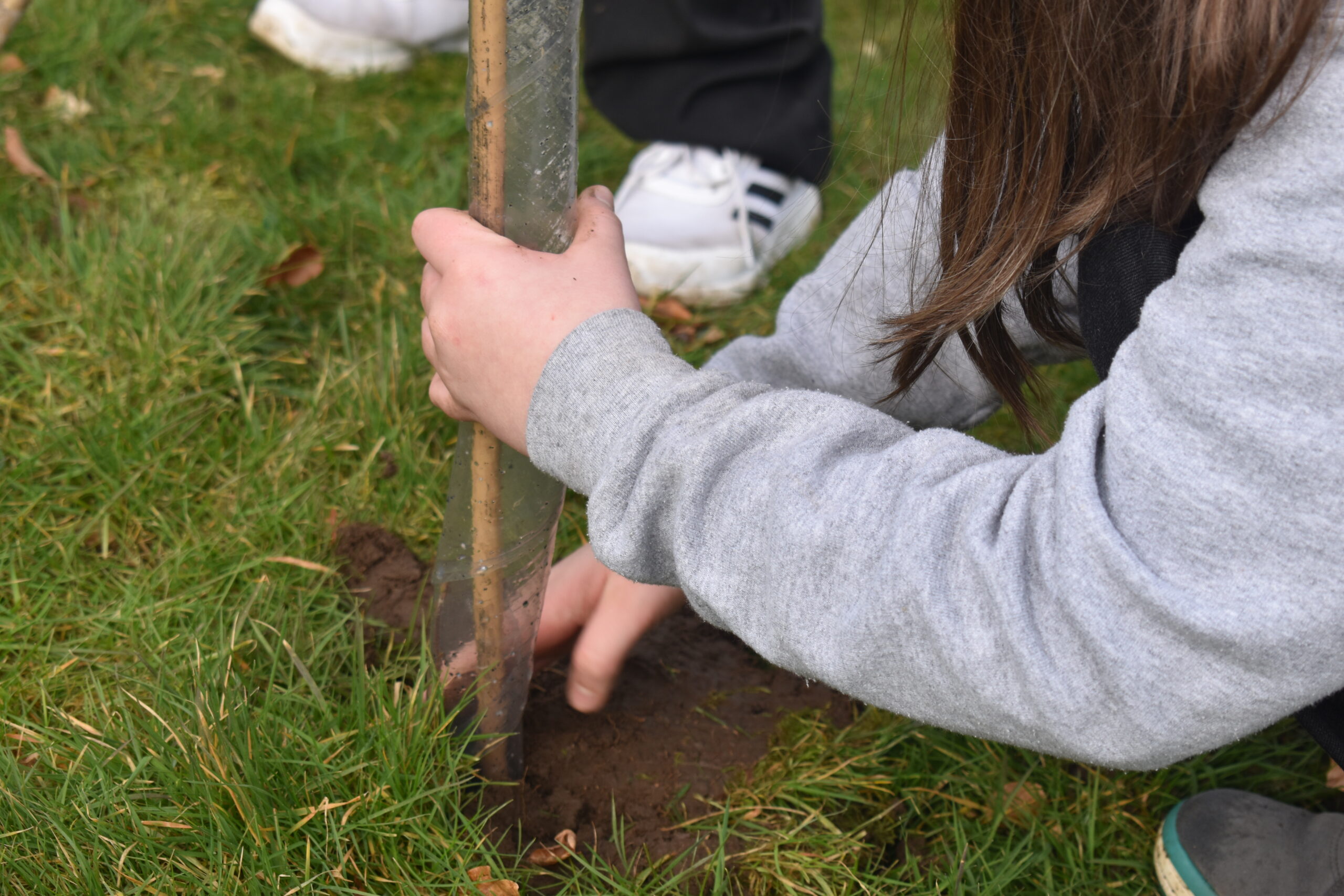 Community Tree Planting in Dunfermline