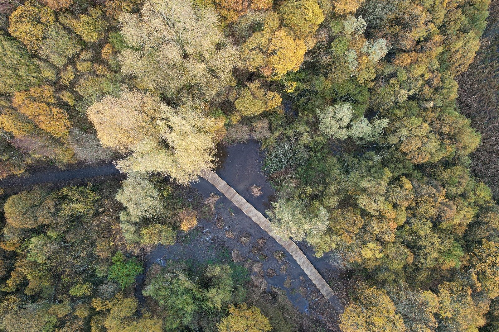 Major restoration project returns much-loved river to its natural state