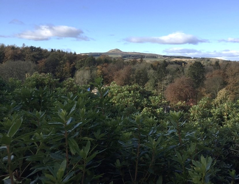 Balbirnie River Restoration Community Walkover