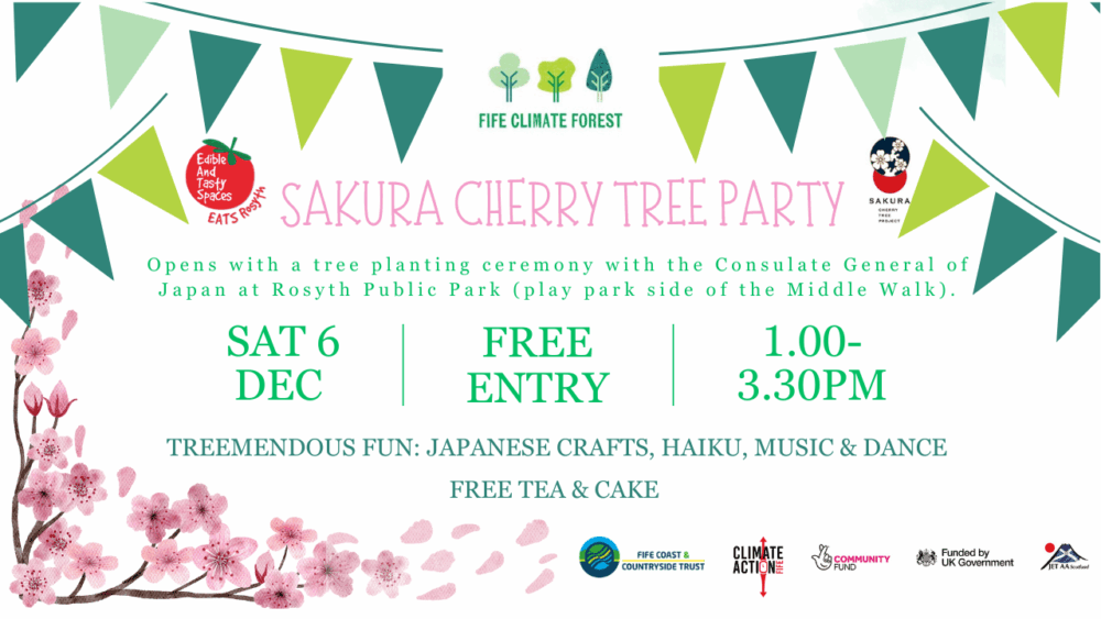 Sakura Cherry Tree Party in Rosyth