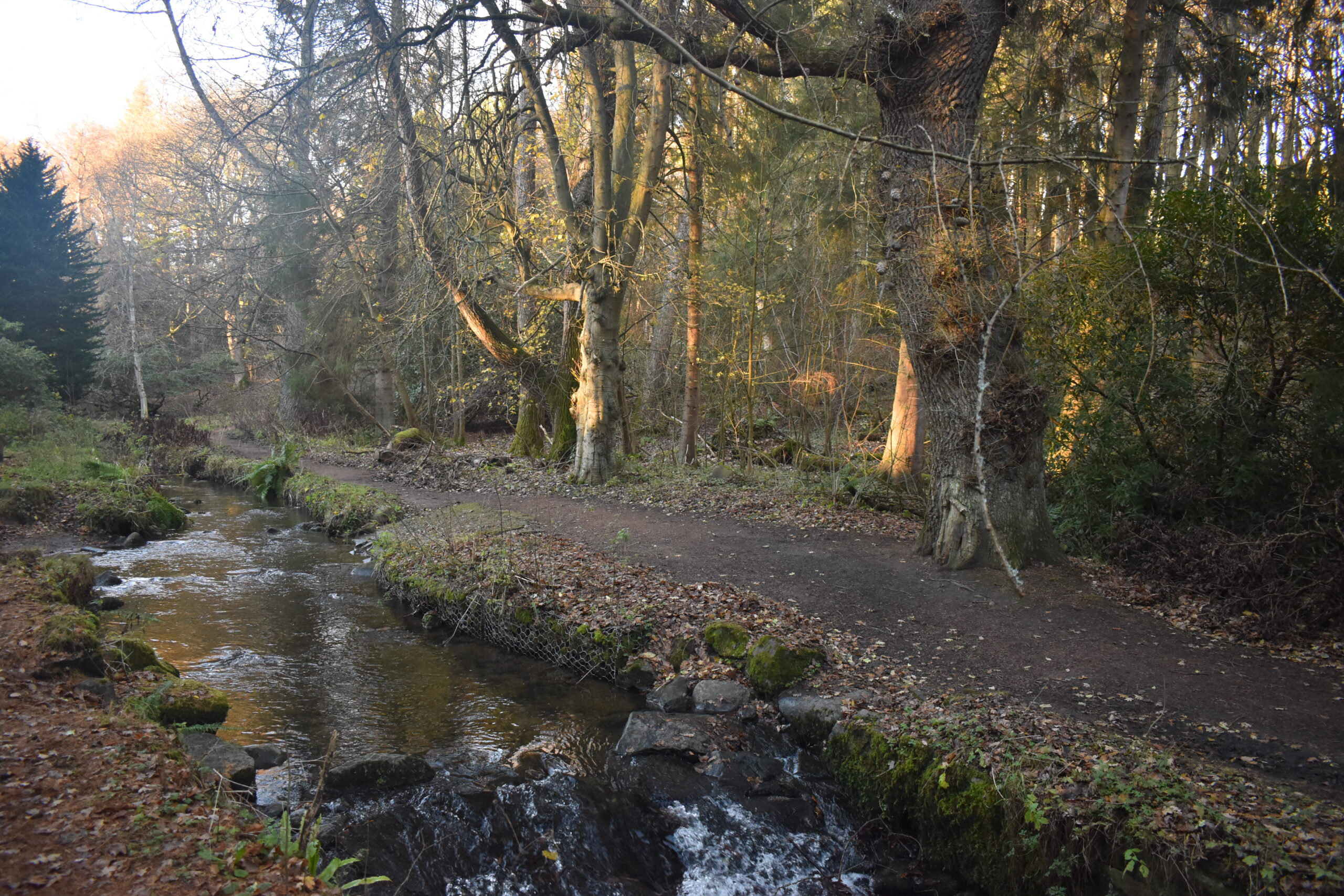 Back Burn at Balbirnie