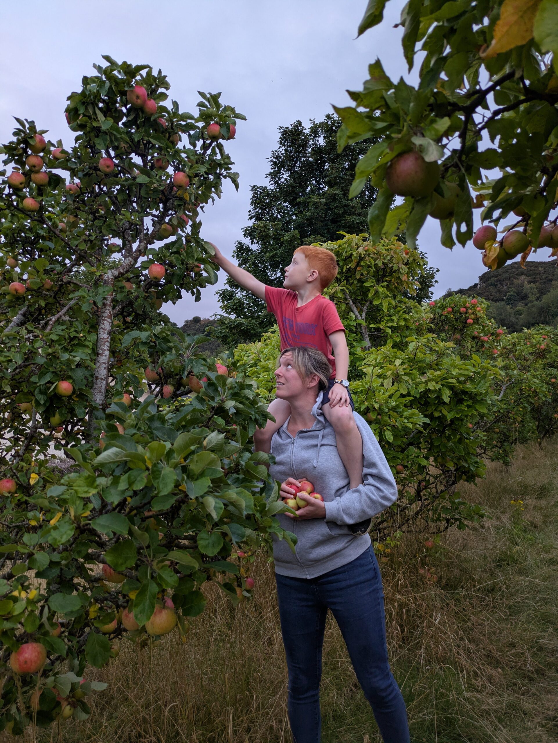 Fife Climate Forest Competition Captures our Love of Trees Through a Lens