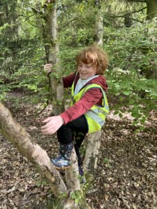 fife-climate-forest-photo-competition-julianne-gresty 