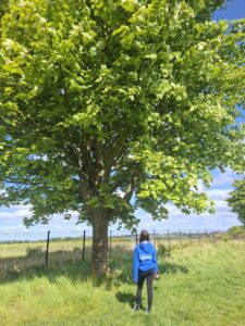 fife-climate-forest-photo-comp-Shannon