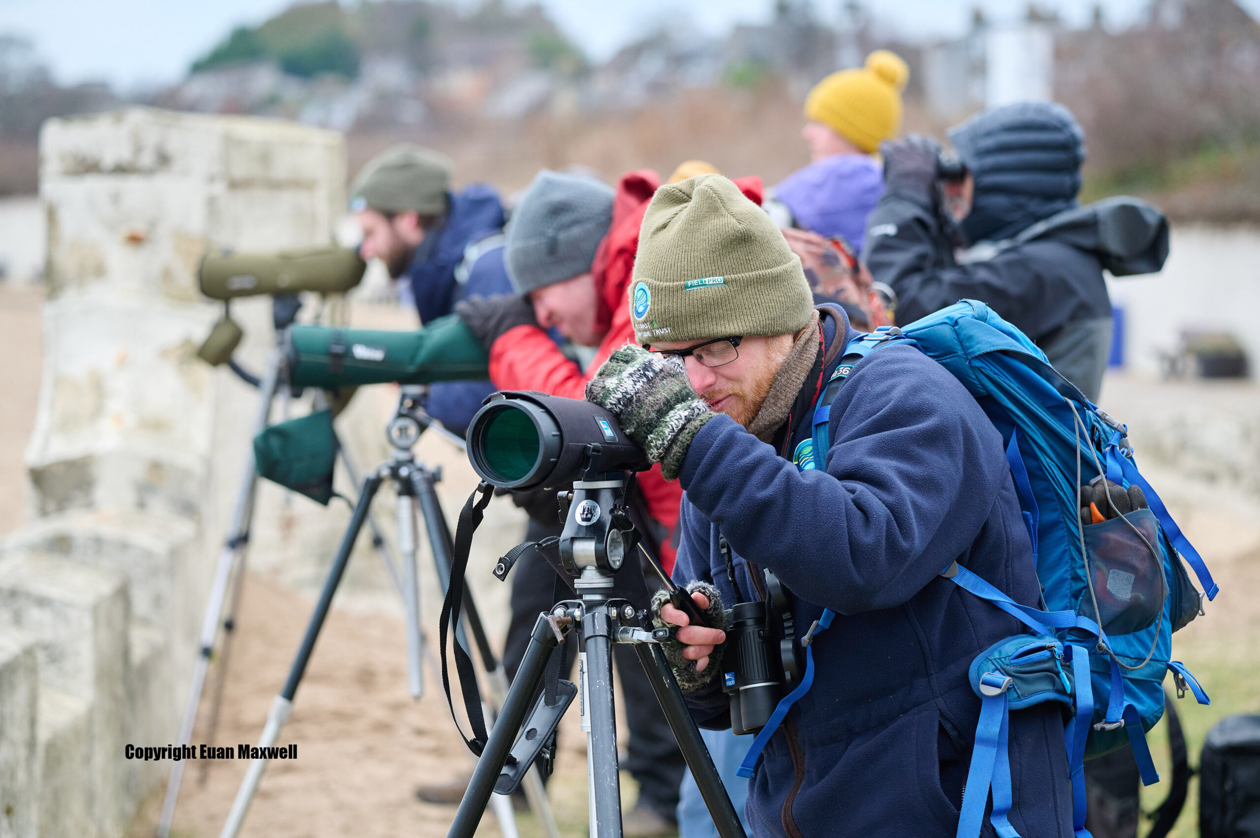 Restoration Forth Coastal Bird Survey