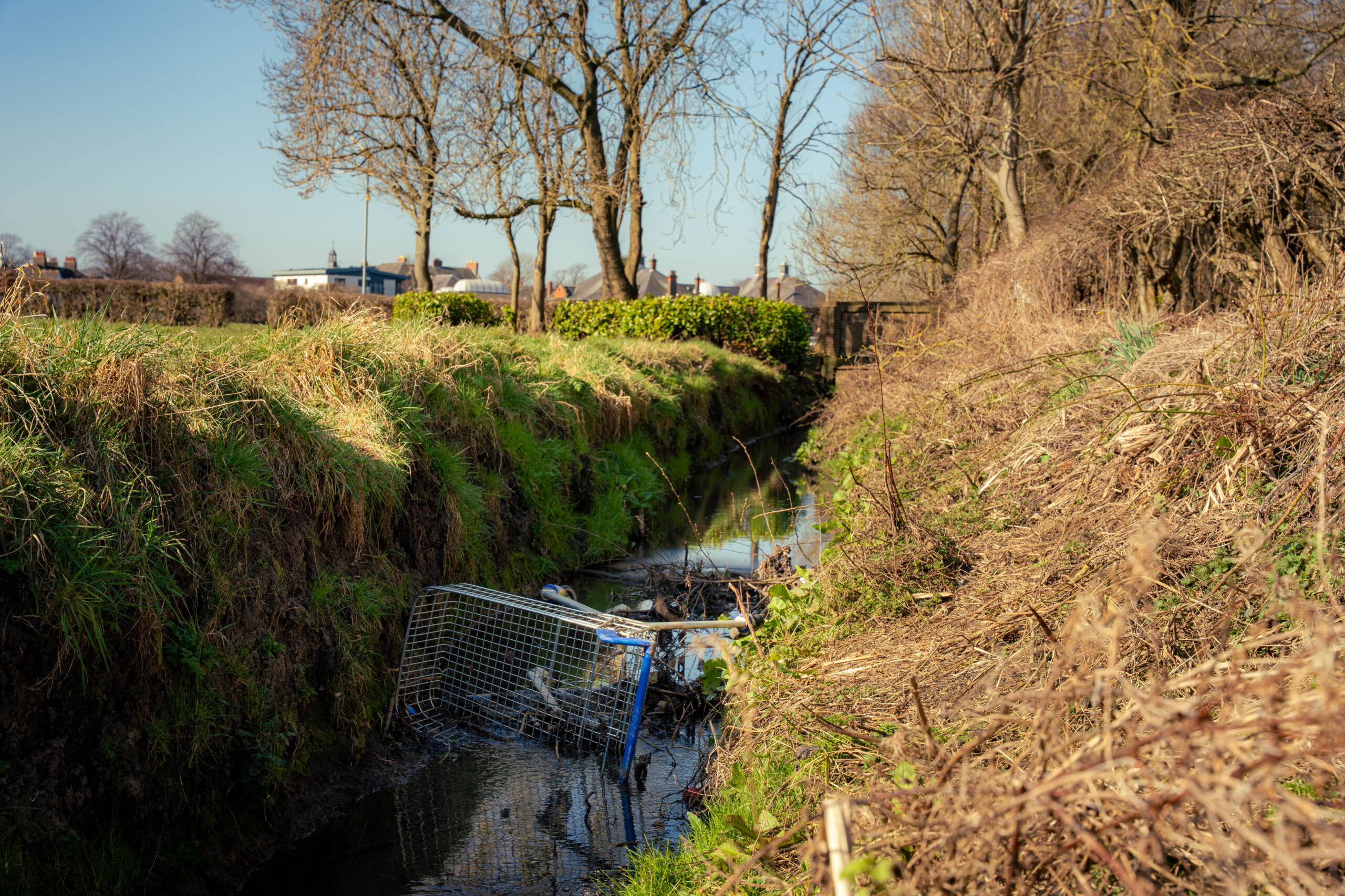 Funding milestone reached for Rosyth’s ‘struggling’ river habitats