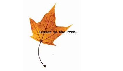 ‘Letter to the Tree’ Book Launch and Tree Survey Showcase