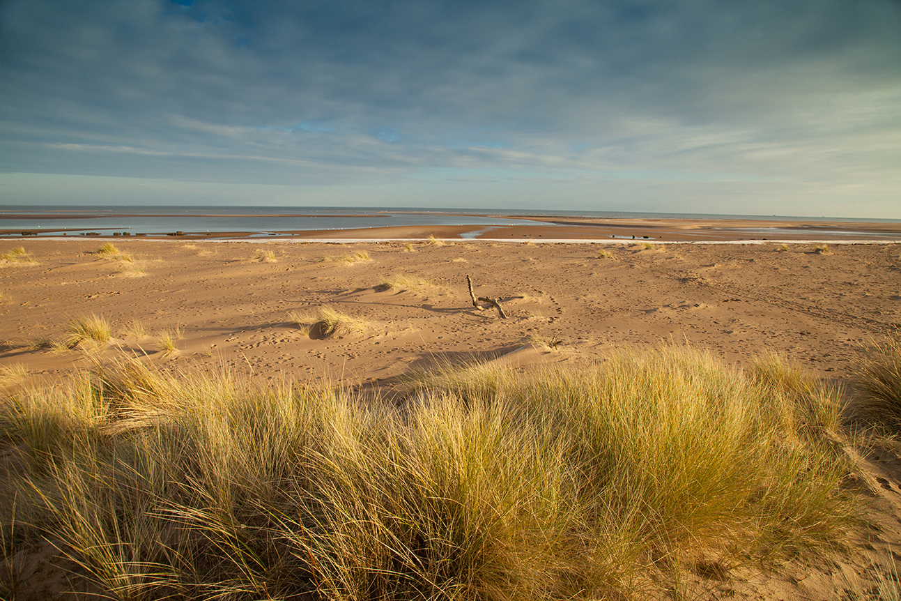 Moments by the Sea: A Mindful Photo Walk on the Fife Coast
