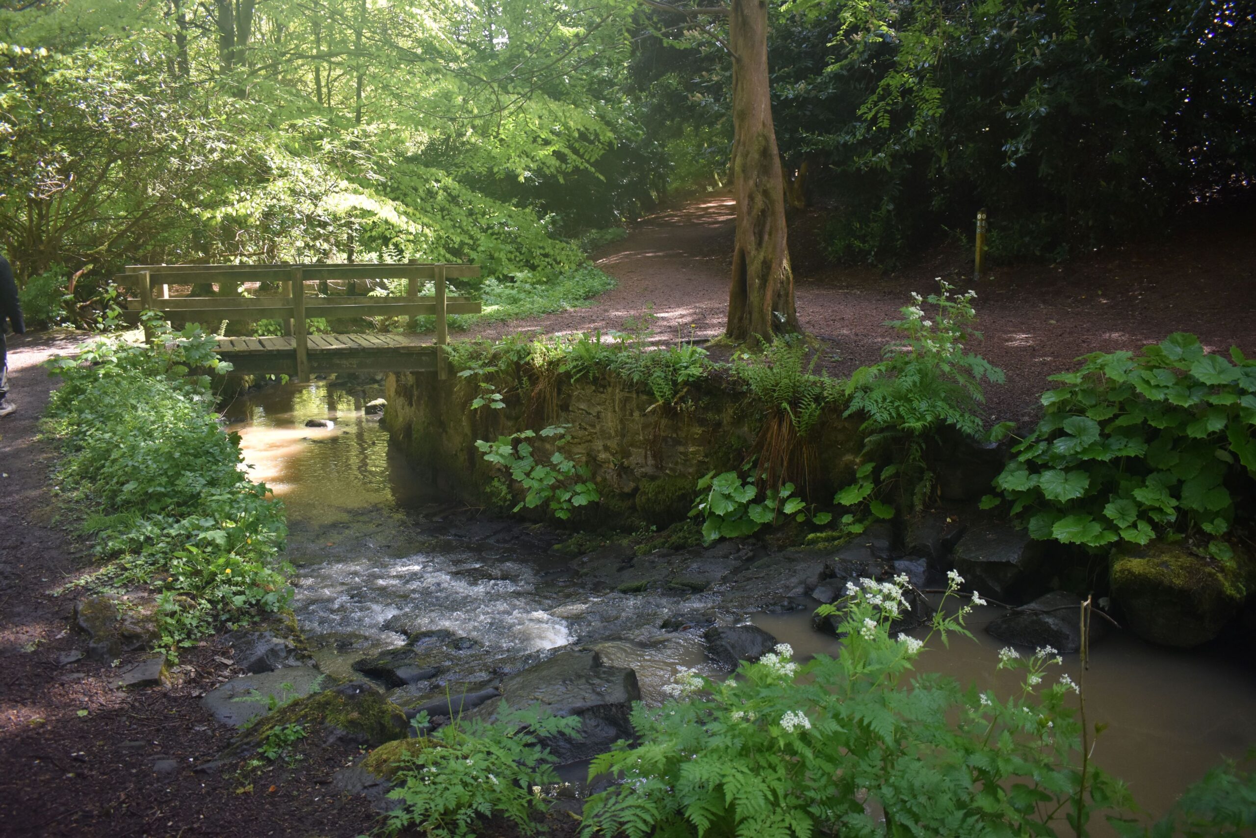 River restoration works progress at Balbirnie Park