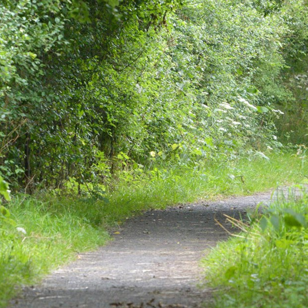 Largo Serpentine